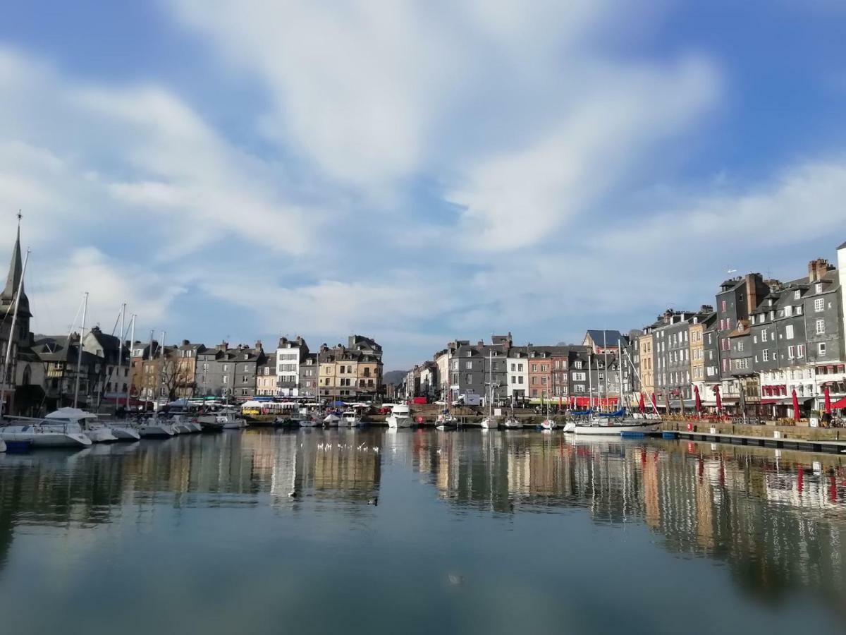 Le Maely, Au Calme, Centre De Apartment